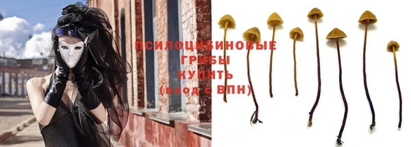 PSILOCYBIN Алексин