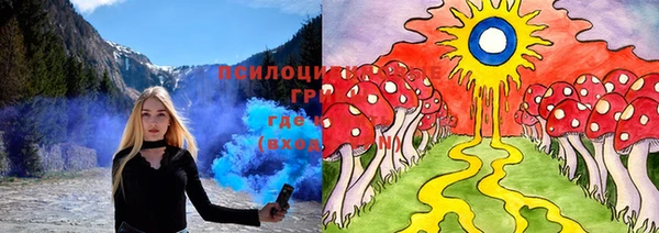 PSILOCYBIN Алексин
